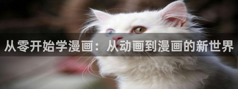汗汗漫画在线看官网：从零开始学漫画：从动画到漫画的新世界