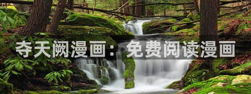 av汗汗漫画：夺天阙漫画：免费阅读漫画