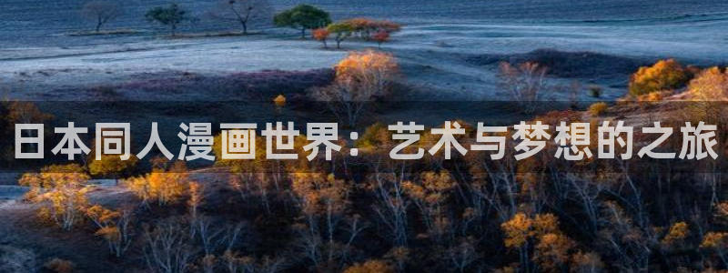 汗汗漫画汗汗漫画：日本同人漫画世界：艺术与梦想的之旅