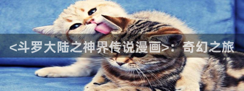 汗汗漫画在线登录：<斗罗大陆之神界传说漫画>：奇幻之旅