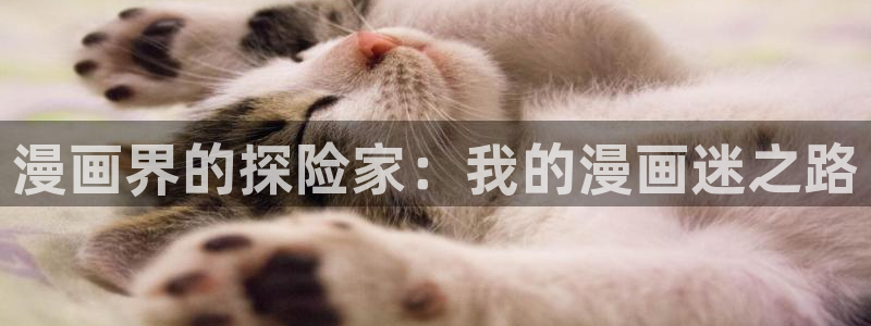 汗汗漫画网在线观看：漫画界的探险家：我的漫画迷之路
