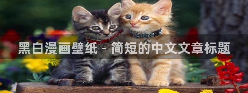 汗汗漫画羞：黑白漫画壁纸 - 简短的中文文章标题