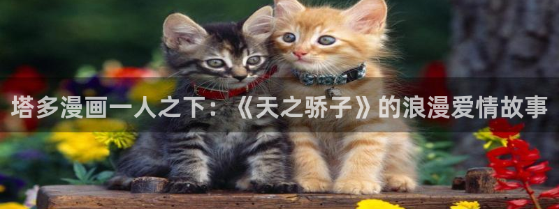 汗汗漫画在线观：塔多漫画一人之下：《天之骄子》的浪漫爱情故事
