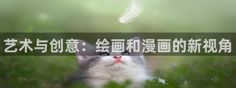 《汗汗漫画》：艺术与创意：绘画和漫画的新视角