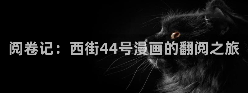汗汗漫画yy：阅卷记：西街44号漫画的翻阅之旅