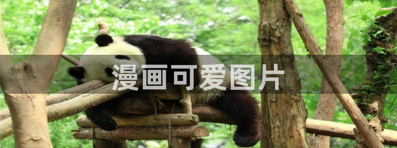 汗汗漫画免费漫画页面在线看：漫画可爱图片