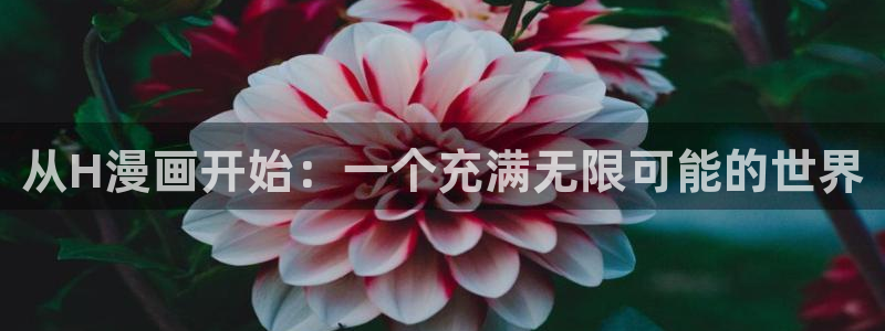 汗汗漫画登录页面免费漫画入口