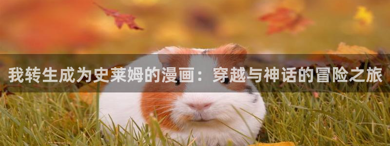 汗汗漫画看不了了