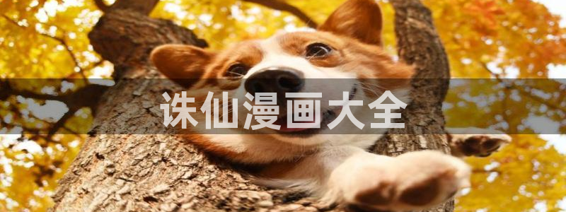 汗汗漫画在线观看网站入口