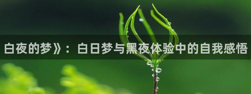 汗汗漫画在线阅读入口：白夜的梦》：白日梦与黑夜体验中的自我感悟